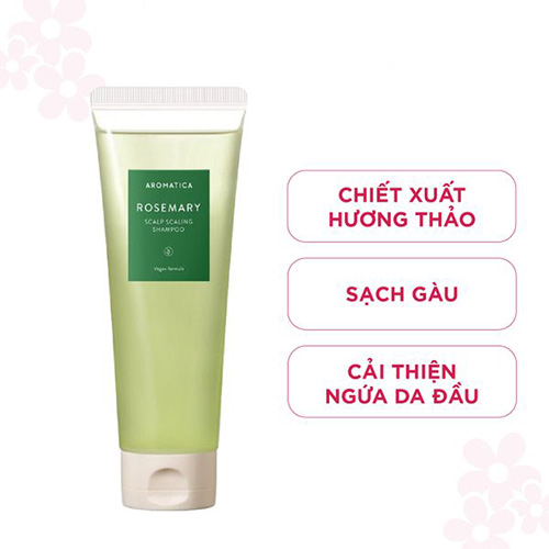 Hình ảnh minh họa củaSet Dầu gội hương thảo AROMATICA Rosemary Scalp Scaling Shampoo 180ml