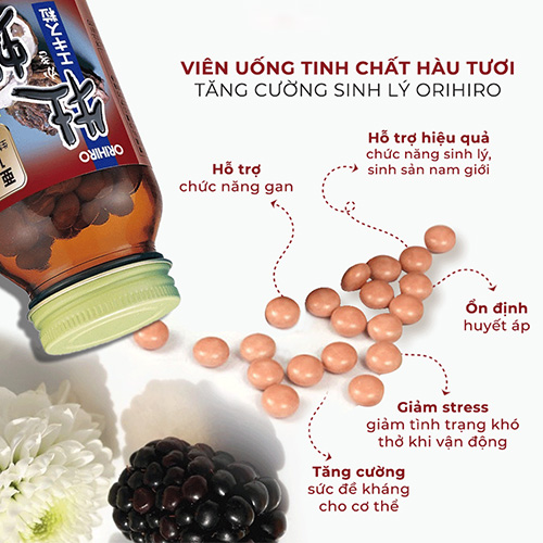 Hình ảnh minh họa củaTinh chất hàu tươi Orihiro 120 viên uống của Nhật Bản