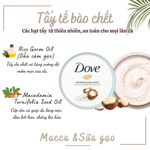 Hình ảnh minh họa củaTẩy da chết body Dove Macadamia & Reismilch chiết xuất macca và sữa gạo 225ml